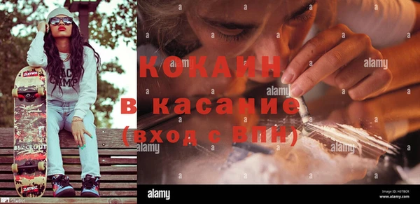 дмт Алексин